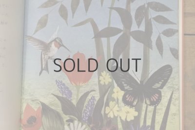 画像8: 【古本】1970年（地球のはじまり）