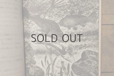 画像7: 【古本】1970年（地球のはじまり）