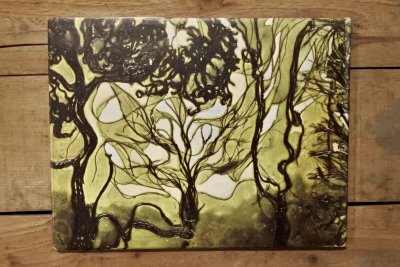 画像6: 【古本】1969年（Hide-and-Seek）