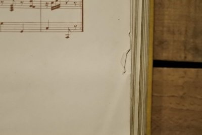 画像12: 【古本】大正14年 （小鳥と花と）