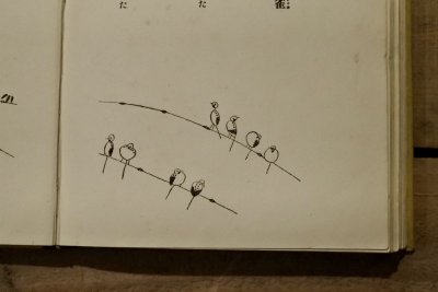 画像7: 【古本】大正14年 （小鳥と花と）