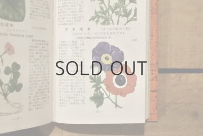 画像9: 【古本】昭和29年（学生版原色植物図鑑）