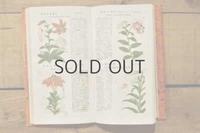 画像4: 【古本】昭和29年（学生版原色植物図鑑）