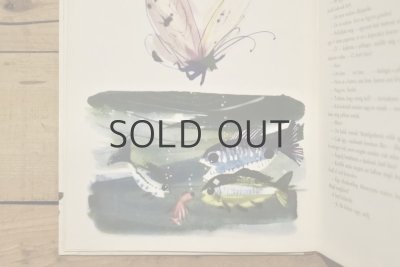 画像4: 【古本】1963年(A boldof pillango)