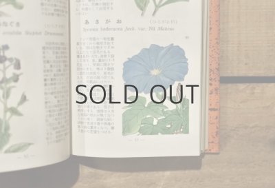 画像5: 【古本】昭和29年（学生版原色植物図鑑）