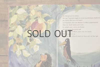 画像3: 【古本】1964年（Tappelpit）