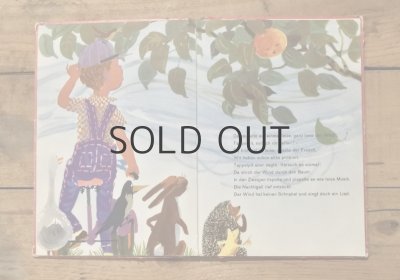 画像5: 【古本】1964年（Tappelpit）