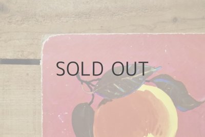 画像9: 【古本】1964年（Tappelpit）