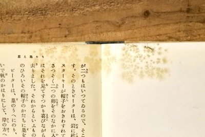 画像9: 【古本】昭和11年（少年世界文庫第六編 ピーターパン）