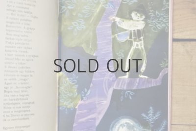 画像5: 【古本】1972年（Alom a var alatt）