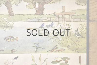 画像5: 【古本】1953年（Hledej a najdeš!）