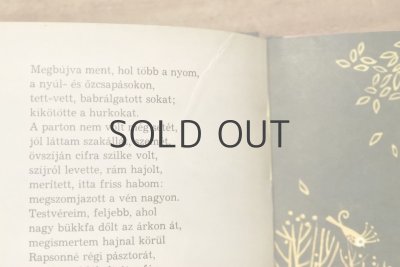 画像8: 【古本】1972年（Alom a var alatt）