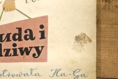 画像10: 【古本】1954年(Cuda i dziwy)