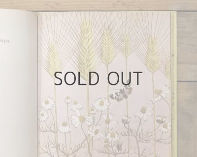 画像6: 【古本】1975年（MESE AZ ELTEVEDT KISCSIBEROL)