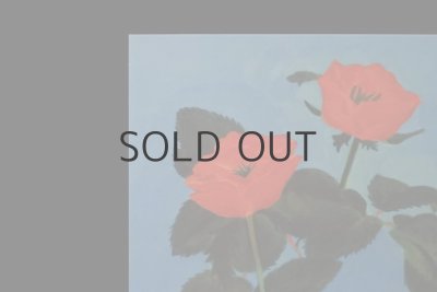 画像7: 【新品】市村柚芽 ポストカード／3枚セット(A)