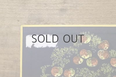 画像15: 【古本】1973年（Der Wolf und die sieben jungen Geißlein）