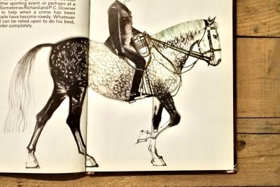 画像9: 【古本】1973年（RICHARD）