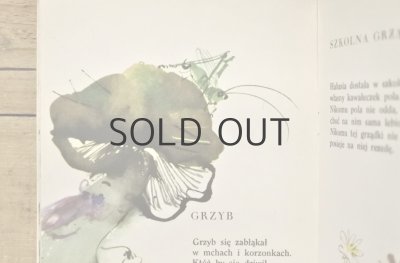 画像9: 【古本】1985年（zwierzaki i zioła）