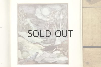 画像8: 【古本】1984年（VOM ROTGESPRENKELTEN SPATEN)