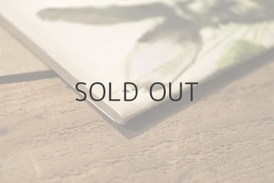 画像16: 【古本】1985年（zwierzaki i zioła）