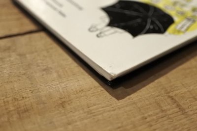 画像13: 【古本】1963年（Salzburg für Anfänger）