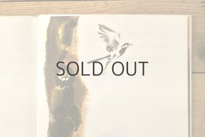 画像12: 【古本】1972年(Pohádky z lesa)