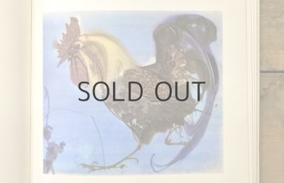 画像6: 【古本】1979年（めんどりフィフィンのたび）