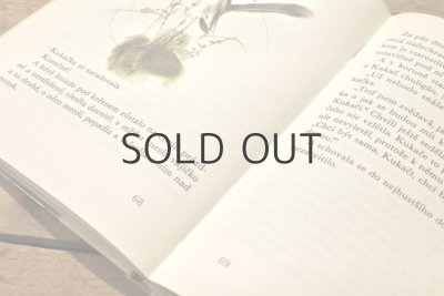 画像19: 【古本】1972年(Pohádky z lesa)