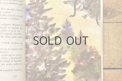 画像5: 【古本】1972年(Pohádky z lesa)