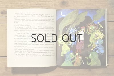 画像12: 【古本】1980年（DOLINA SPIEWAJĄCYCH PTAKOW）