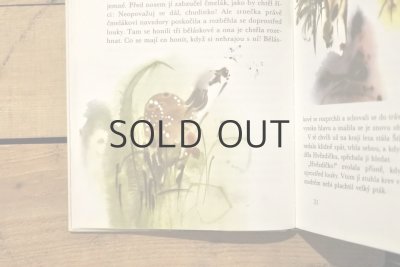 画像10: 【古本】1972年(Pohádky z lesa)