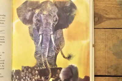 画像8: 【古本】1981年(Medvekeresztelő)