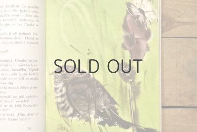 画像6: 【古本】1972年(Pohádky z lesa)