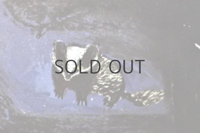 画像12: 【古本】1977年（THE TRUE CROSS）