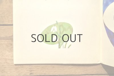 画像13: 【古本】1984年（Mese a csodálatos nyárról）