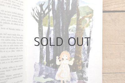 画像6: 【古本】1972年（BABIČKA）