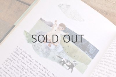 画像12: 【古本】1978年(BABIČKA)