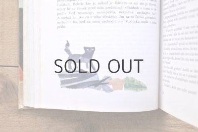 画像6: 【古本】1978年(BABIČKA)