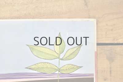 画像18: 【古本】1977年（THE TRUE CROSS）