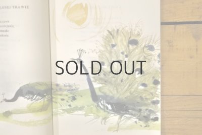 画像4: 【古本】1987年（Idzie niebo ciemną nocą..）