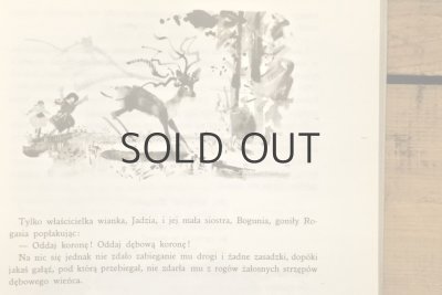 画像8: 【古本】1988年（Rogas z Doliny Roztoki）