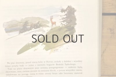 画像10: 【古本】1988年（Rogas z Doliny Roztoki）