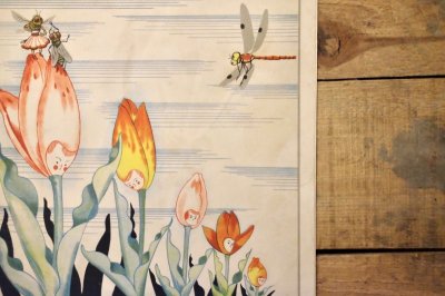 画像9: 【古本】昭和13年（観察繪本 キンダーブック 第11輯・第7編 ミツバチノコ）