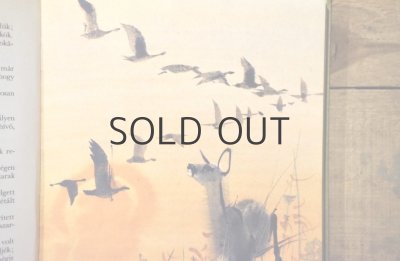 画像11: 【古本】1968年（bambi gyermekei）