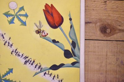 画像10: 【古本】昭和13年（観察繪本 キンダーブック 第11輯・第7編 ミツバチノコ）