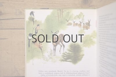 画像9: 【古本】1968年（bambi gyermekei）