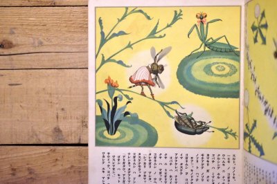 画像4: 【古本】昭和13年（観察繪本 キンダーブック 第11輯・第7編 ミツバチノコ）