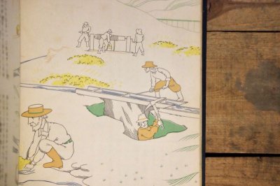 画像7: 【古本】昭和12年(小學科學繪本 金)