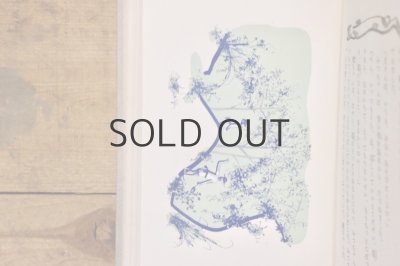 画像14: 【古本】昭和14年（創作童話 雪とうさぎ）