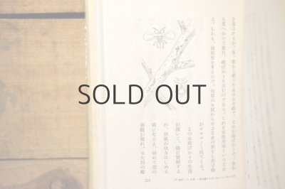 画像9: 【古本】昭和16年(日本昆虫記)